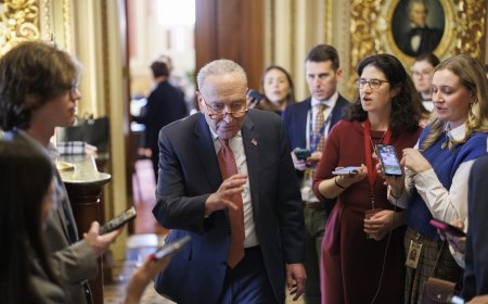 Cut the Senate Democrats Some Slack