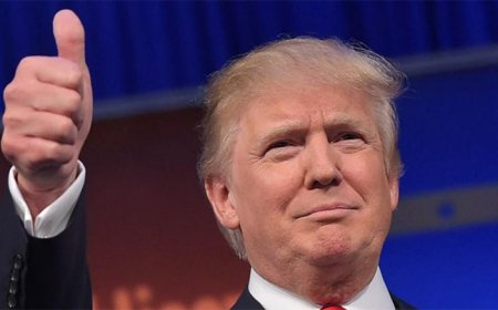 Trump Energy Policies Reshape Renewables Sector