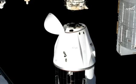 Starliner Astronauts Sunita Williams and Barry Wilmore Return to Earth with Crew-9