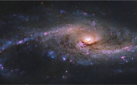 Hubble Telescope Captures NGC 4536, a Starburst Galaxy with Intense Star Formation