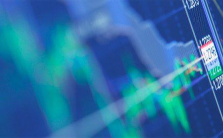 Safe Pro Sinks on Full-Year Figures