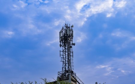 Indian Cybercrime Coordination Centre Helps Reduce Spoofed Calls by 97 Percent, Minister Says