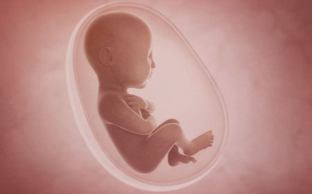 World's First Baby Born Through Fully Automated, Remotely Operated IVF Procedure
