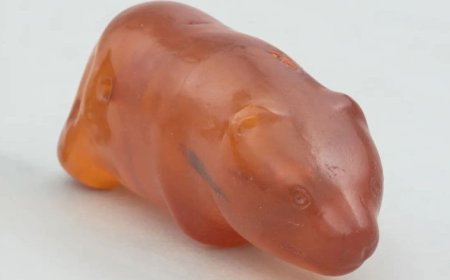 Ancient Amber Bear Figurine from Poland Linked to Stone Age Beliefs