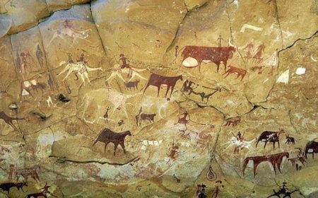 7000 Years Old Genome Analysis Unveiled Lush Green Habitat of Sahara Desert