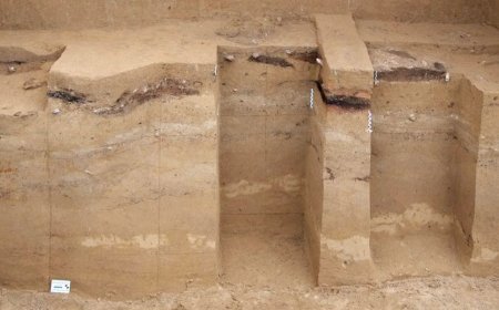 Researchers Find Evidence of Fire Building Techniques in Europe During the Last Ice Age