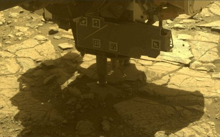 NASA’s Perseverance Rover Discovers a Large Number of Unique Rock Samples on Jezero Crater’s Rim