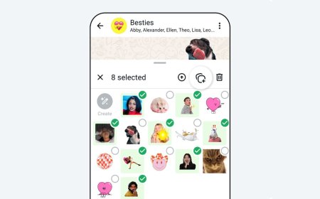 WhatsApp Rolls Out New Feature Which Lets Users Create, Organise and Share Custom Sticker Packs