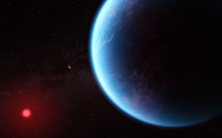 Signs of Alien Life Detected on Nearby Exoplanet Using NASA’s James Webb Space Telescope
