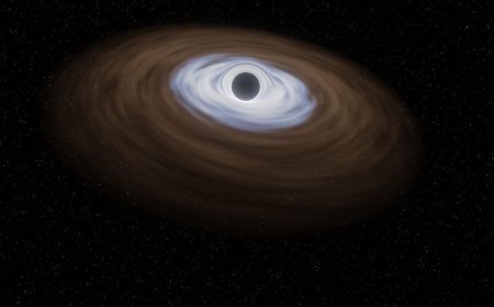NASA Hubble Space Telescope Helps Confirm the First Solitary Black Hole