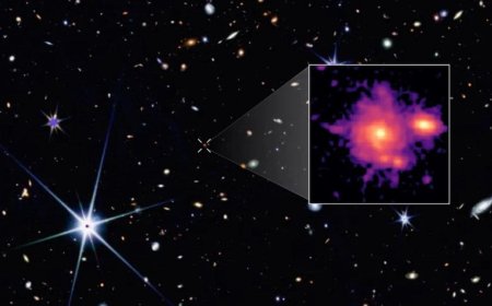 NASA James Webb Space Telescope Discovers Farthest Spiral Galaxy, Reveals Clues About Galactic Evolution