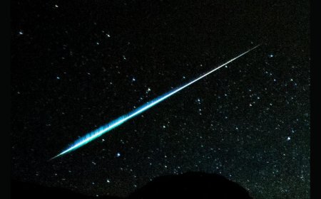 Lyrid Meteor Shower 2025 to Fill the Night Sky Soon: Know When to Watch