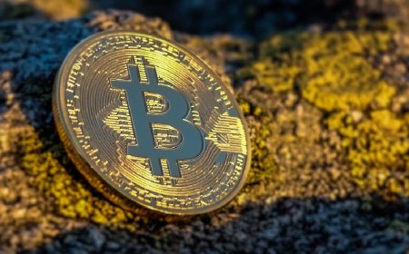 Crypto Price Today: Bitcoin Mints Profits to Trade at $87,300, Altcoins Show Mixed Movements 