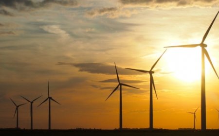 No Trump Needed—Wind Just Blew It