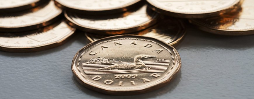 USD / CAD - Canadian dollar treading water