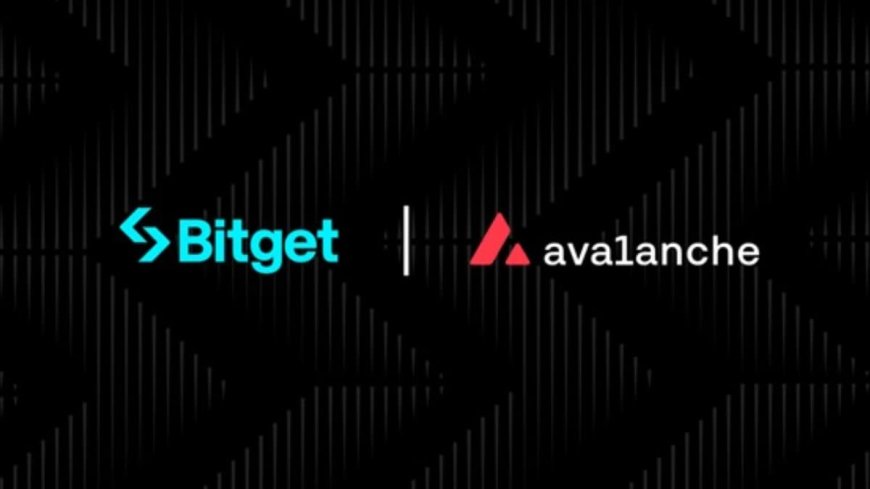 Bitget, Avalanche Announce Partnership to Boost Web3 Adoption in India