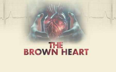 Brown Heart OTT Release Date: When and Where to Watch Documentary on India's Heart Disease Crisis Online?