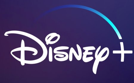 Walt Disney Reports Strong Financial Results And Streaming Numbers