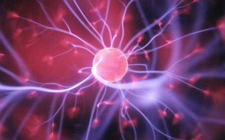 New Approaches to Tumor Targeting Are Driving the Next Wave of Oncology Breakthroughs