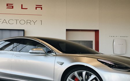 Tesla Sales Plunge In Both China And Europe