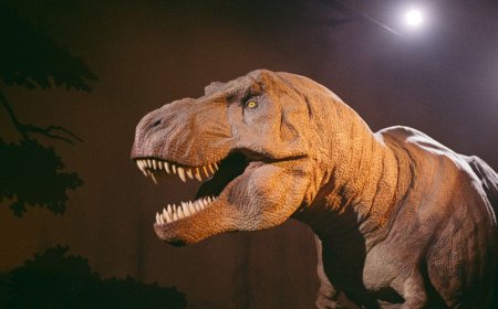 New Study Traces T-Rex’s Origins to Asia and Links Gigantic Size to Climate Shift