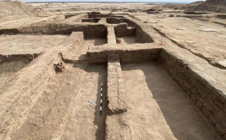 New Study eries Reveal Ancient Egyptian Fortress Once Lined with 500 Trees