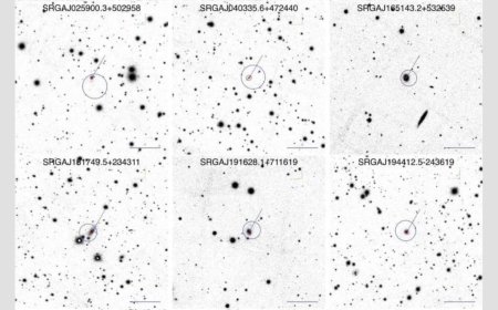Russian Researchers Discover 11 New Active Galactic Nuclei In Spektr-RG X-ray Survey
