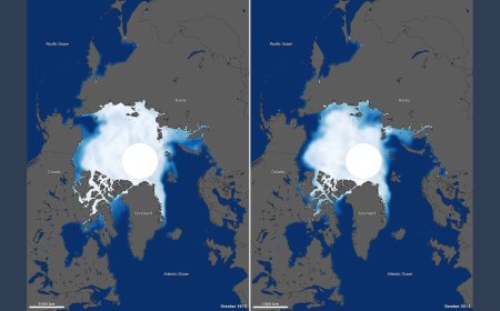 New Study Reveals Recent Ice Gains in Antarctica, But Long-Term Melting Continues