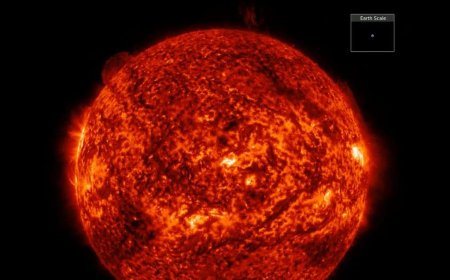 Sun Unleash a 600,000-Mile Filament in Fiery Eruption