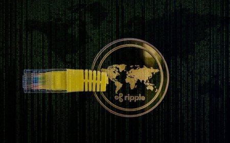 Ripple Partners With Two Banks to Launch Cross-Border XRP Payments in the UAE