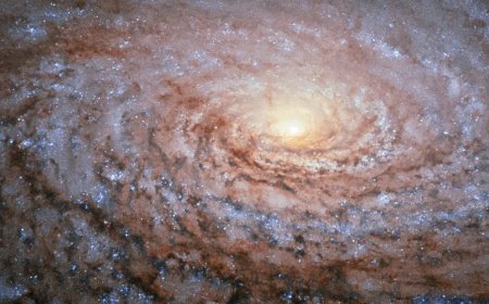 Canadian Astrophotographer Captures Stunning Sunflower Galaxy from Ontario