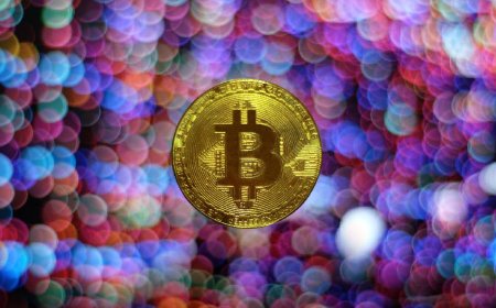 Bitcoin Surpasses $111,500 to Set New All-Time High; Majority of Altcoins Follow Suit in Market Rally