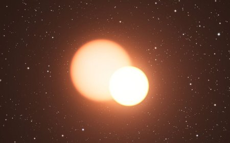 New Study Confirms TeV Halos Are Common in Middle-Aged Pulsars