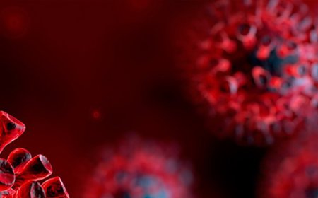 Investor Attention Turns to Biotech as Traditional Cancer Research Models Strain