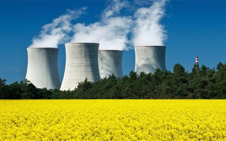 Taiwan Plans Referendum on Nuclear Energy Reversal