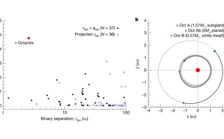 Strange Planet Confirmed in Binary Star System Nu Octantis