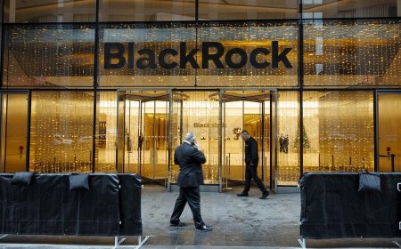 BlackRock Said to Plan to Buy Shares in Circle Internet IPO