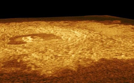 New Study Confirms Venus Is Still Geologically Active