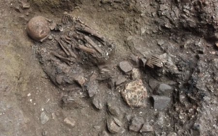 7,100-Year-Old Skeleton Reveals Unknown Human Lineage in China