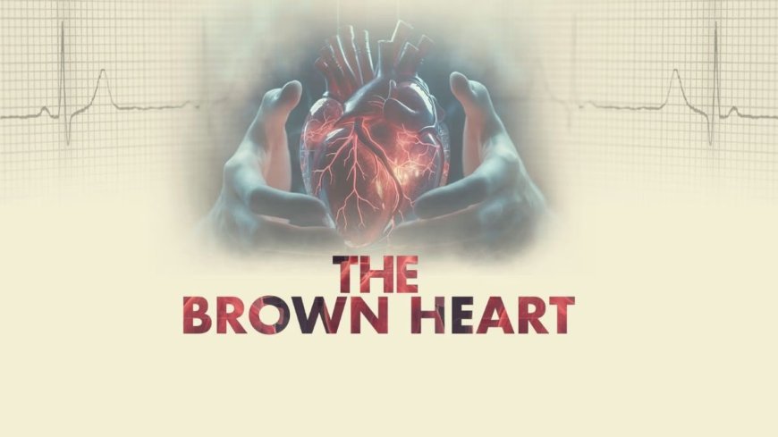 Brown Heart OTT Release Date: When and Where to Watch Documentary on India's Heart Disease Crisis Online?