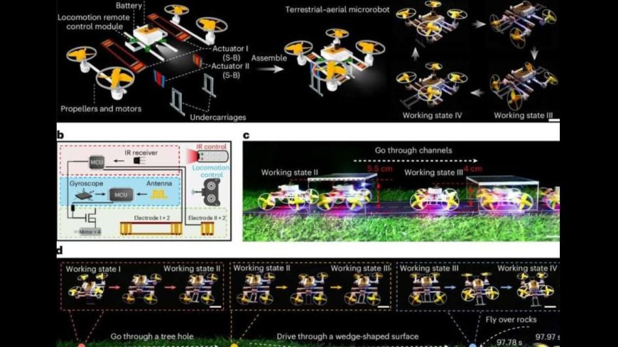 New Shape-Shifting Microrobots Can Walk, Fly, and More: Everything You Need to Know