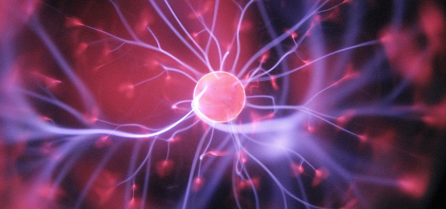 New Approaches to Tumor Targeting Are Driving the Next Wave of Oncology Breakthroughs