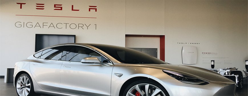 Tesla Sales Plunge In Both China And Europe