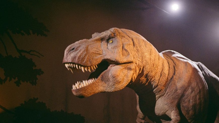 New Study Traces T-Rex’s Origins to Asia and Links Gigantic Size to Climate Shift