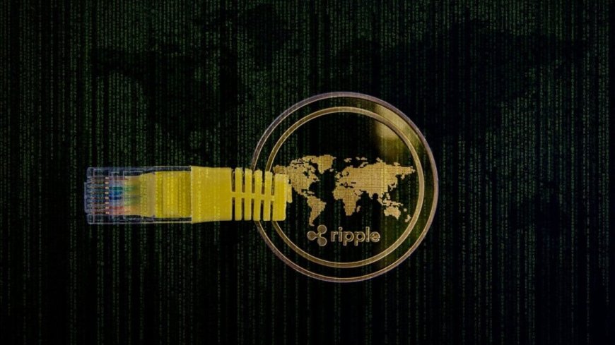 Ripple Partners With Two Banks to Launch Cross-Border XRP Payments in the UAE