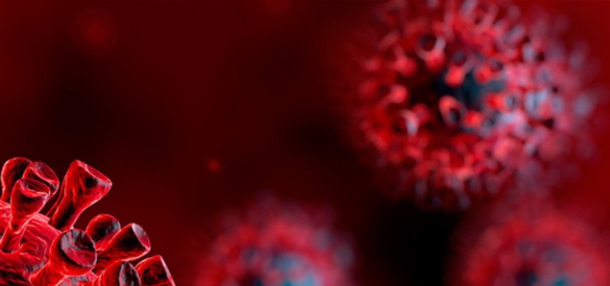 Investor Attention Turns to Biotech as Traditional Cancer Research Models Strain