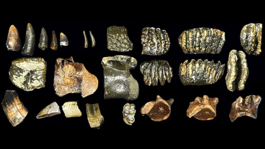 800-Year-Old Mummy Reveals Unusual Facial Tattoos Made from Rare Minerals