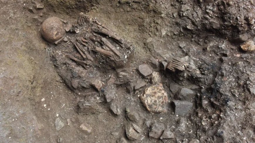 7,100-Year-Old Skeleton Reveals Unknown Human Lineage in China