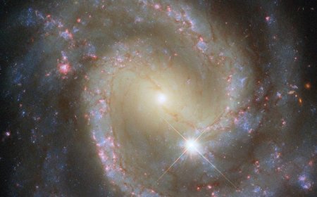 Hubble Spots Isolated Barred Spiral Galaxy That’s Secretly Part of a Cosmic Duo