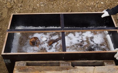 1,350-Year-Old Burial Reveals ‘Ice Prince’ Toddler Laid to Rest With Sword and Silk Robes